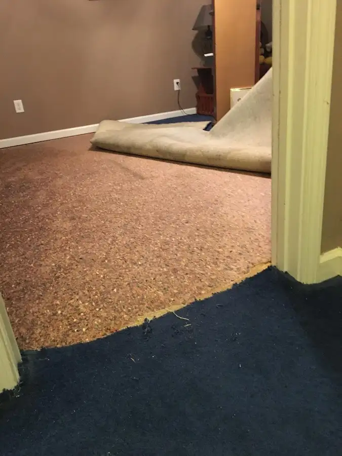 Carpet pad removal revealing water damage during Drying & Dehumidification in Wahpeton